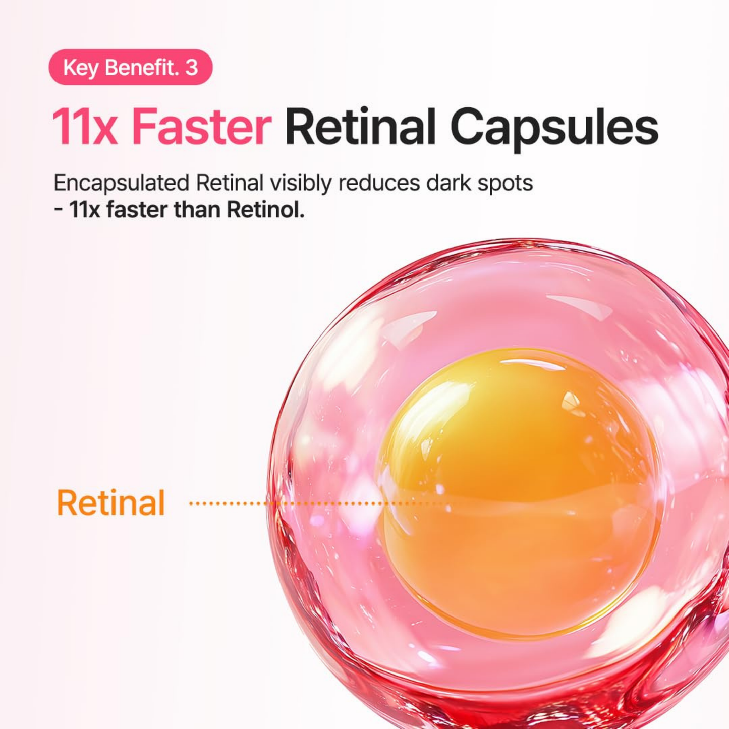 Txa 6 Niacinamide 10 Retinal Serum - Serum and Ampoule