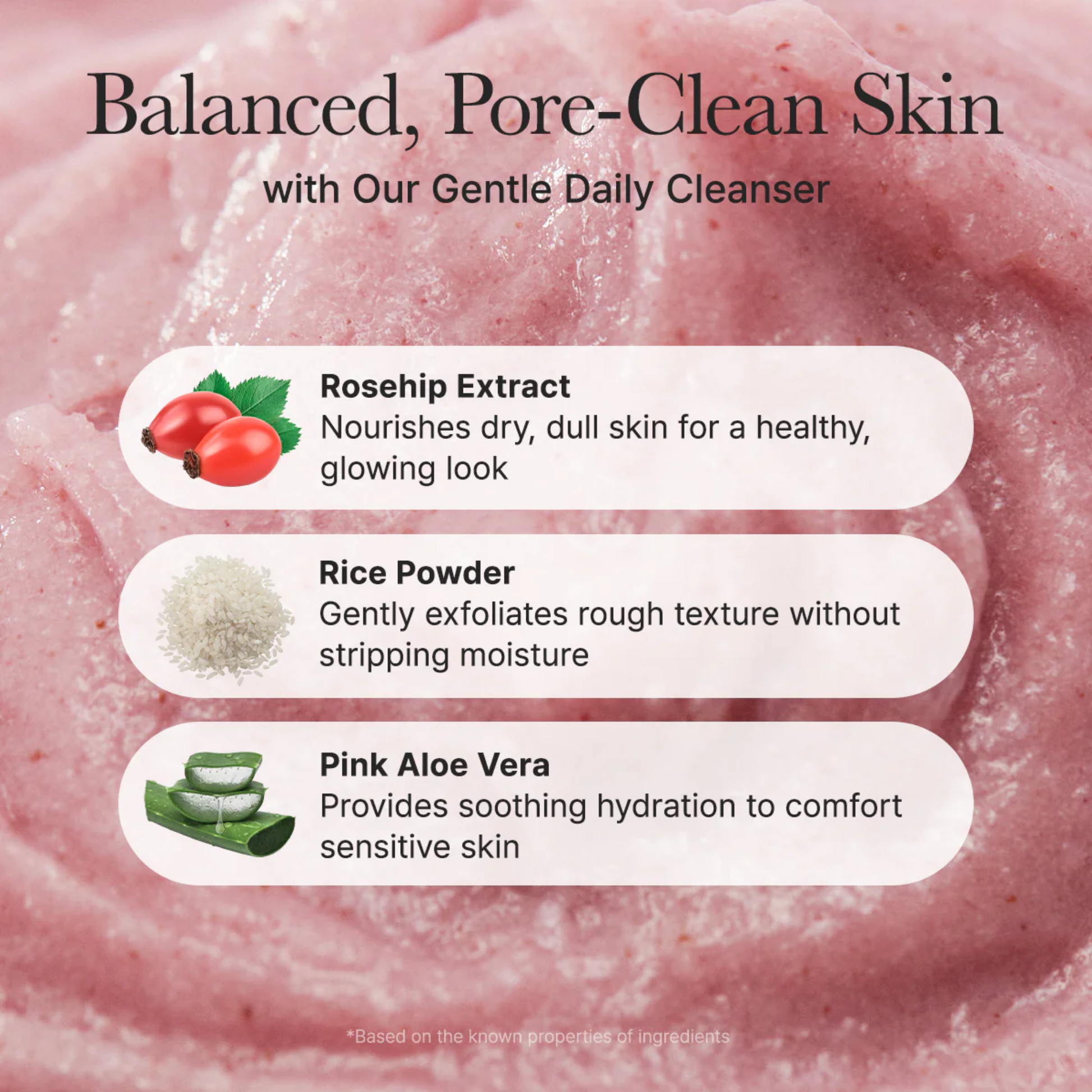 Fresh Rosehip Mochi Cleanser - Water Based Cleanser