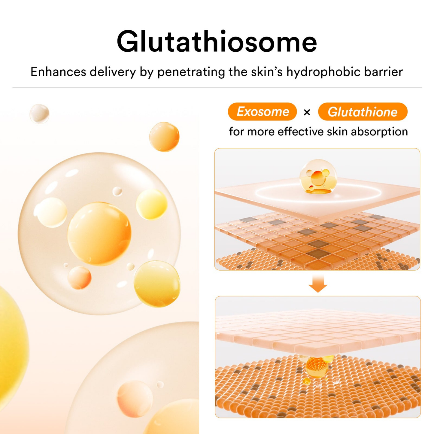 Glutathiosome Cream Vita Tube - Moisturiser