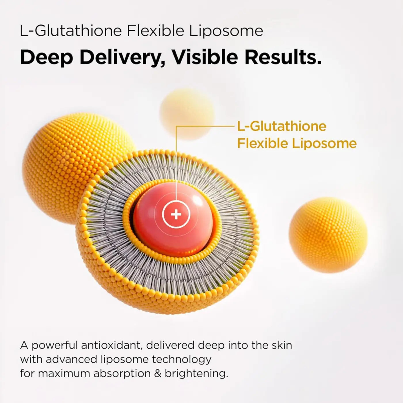 L-glutathione flexible liposome with vibrant orange outer layer and red core for deep skin vitamin delivery in toner