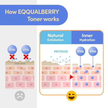 Eqqualberry swimming pool toner 300ml showing natural exfoliation and hydration for skin renewal best korean skincare brands sa